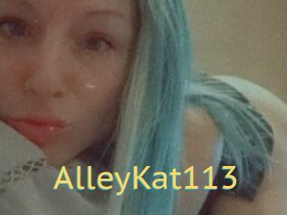AlleyKat113