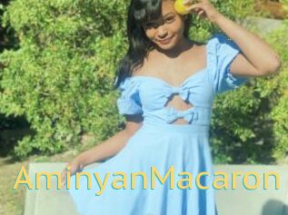 AminyanMacaron