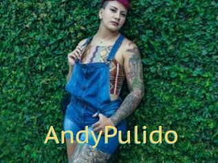 AndyPulido