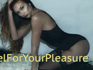AngelForYourPleasure