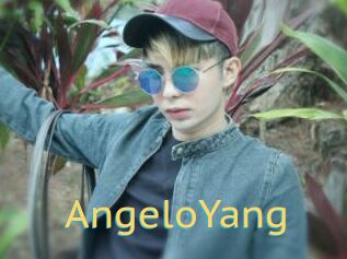 AngeloYang