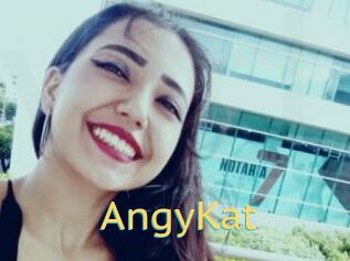 AngyKat