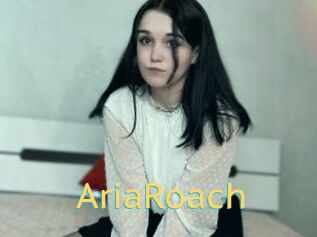 AriaRoach