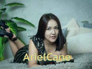 ArielCane