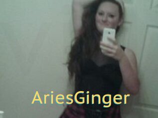 AriesGinger