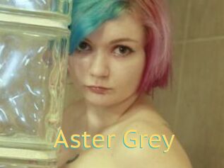 Aster_Grey