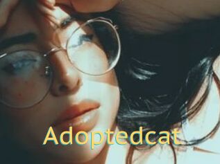 Adoptedcat