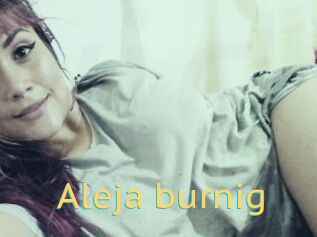 Aleja_burnig