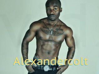 Alexandercolt