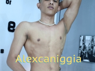 Alexcaniggia