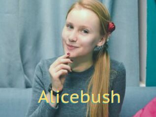 Alicebush