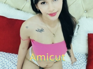 Amicut