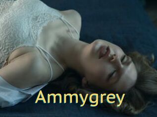 Ammygrey