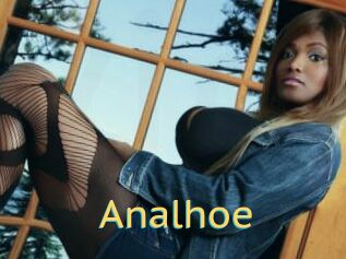 Analhoe
