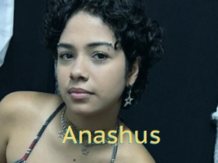 Anashus