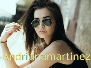 Andrianamartinez