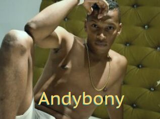 Andybony