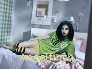 Angelfinch
