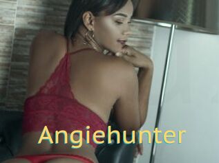 Angiehunter