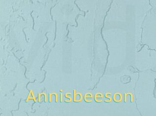 Annisbeeson