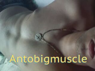 Antobigmuscle