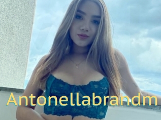 Antonellabrandm