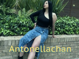 Antonellachan