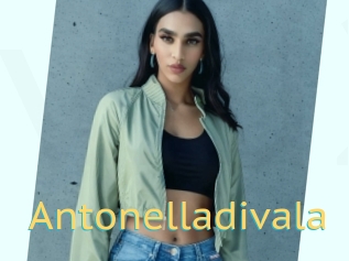 Antonelladivala