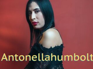 Antonellahumbolt