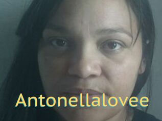 Antonellalovee