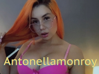 Antonellamonroy