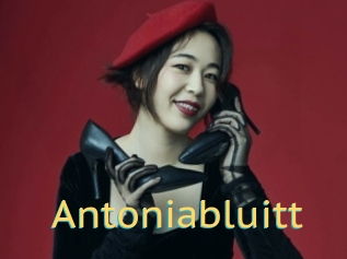 Antoniabluitt