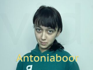 Antoniaboor