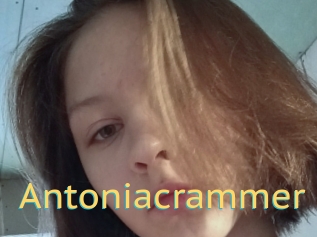 Antoniacrammer