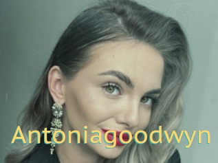 Antoniagoodwyn