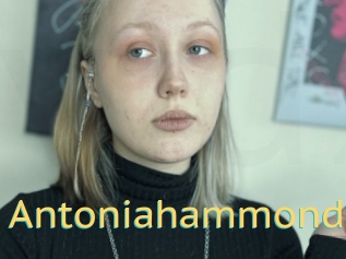 Antoniahammond