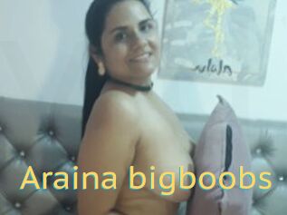 Araina_bigboobs