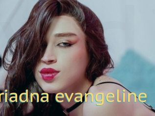 Ariadna_evangeline