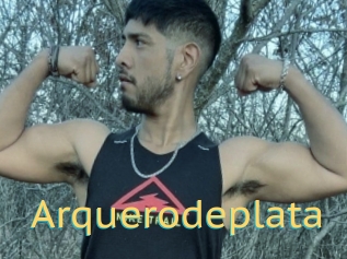 Arquerodeplata