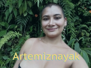 Artemiznayak