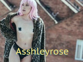Asshleyrose