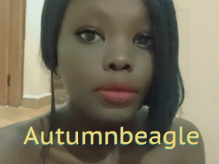Autumnbeagle