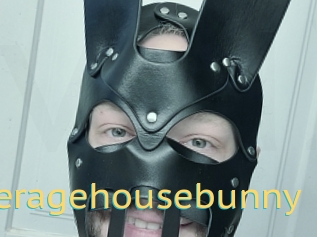Averagehousebunny