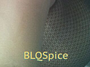 BLQSpice