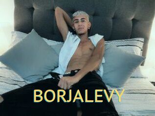 BORJALEVY