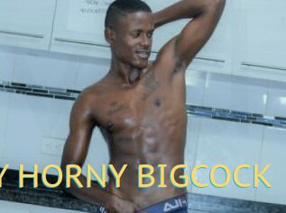 BOY_HORNY_BIGCOCK