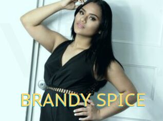 BRANDY_SPICE