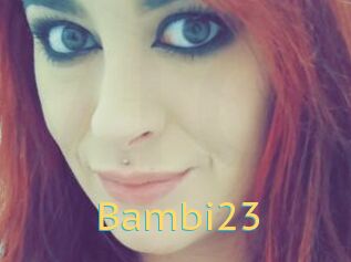 Bambi23