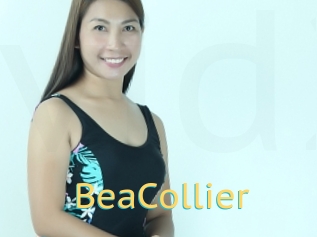 BeaCollier