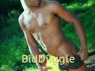 BidDjiggle